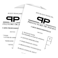 Les Nouveaux Agents : Carte pro. CPI69012017000015582